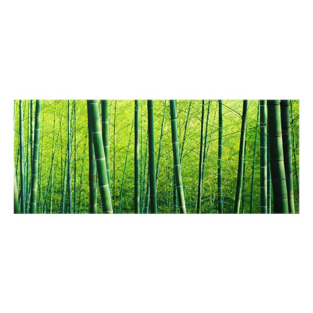 Painel anti-salpicos de cozinha Bamboo Forest