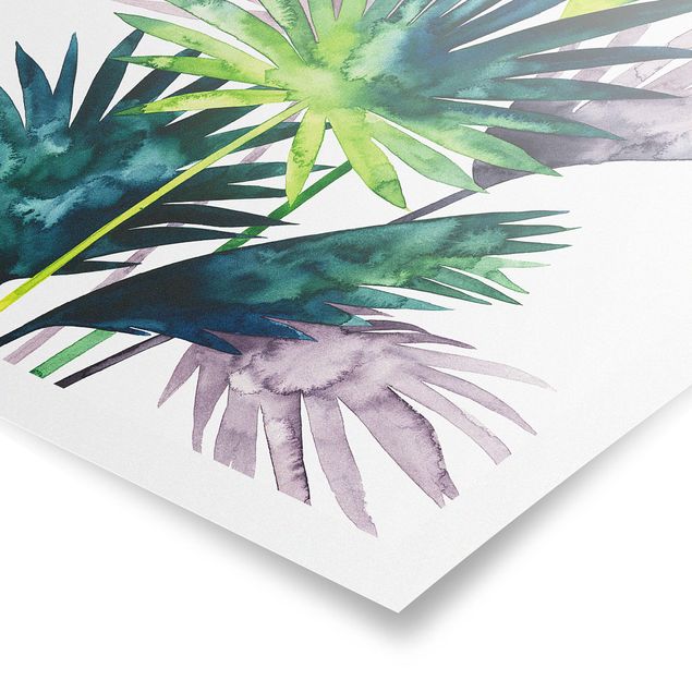 Quadros verdes Exotic Foliage - Fan Palm