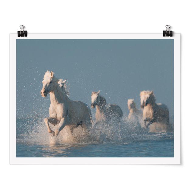 quadros decorativos para sala modernos Herd Of White Horses
