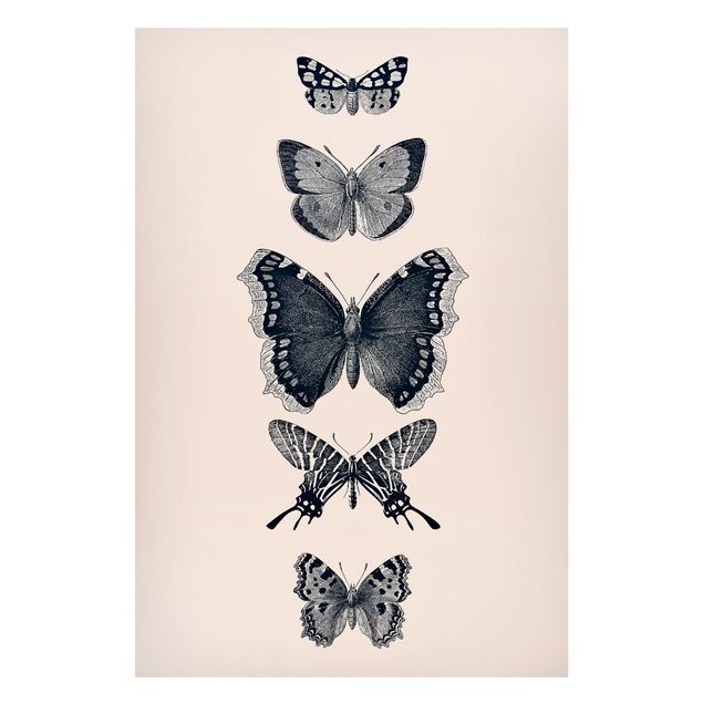 quadro com borboleta Ink Butterflies On Beige Backdrop