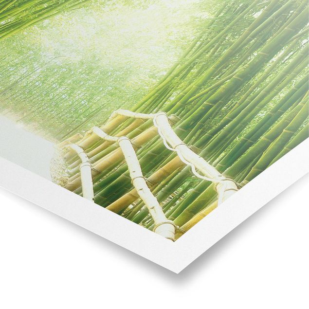 quadros 3d efeito tridimensional Bamboo Way