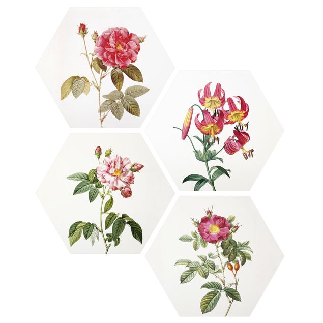 quadro com flores Pierre Joseph Redoute - Roses And Lilies