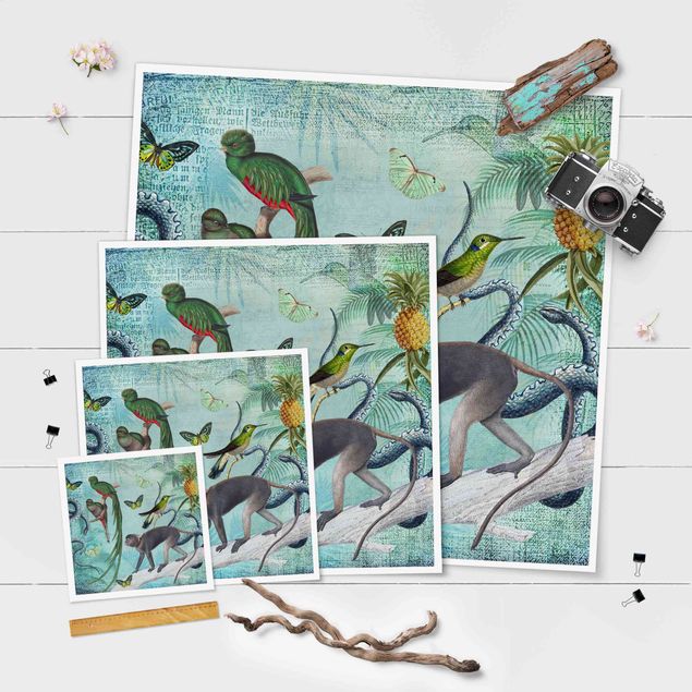 Quadros decorativos Colonial Style Collage - Monkeys And Birds Of Paradise