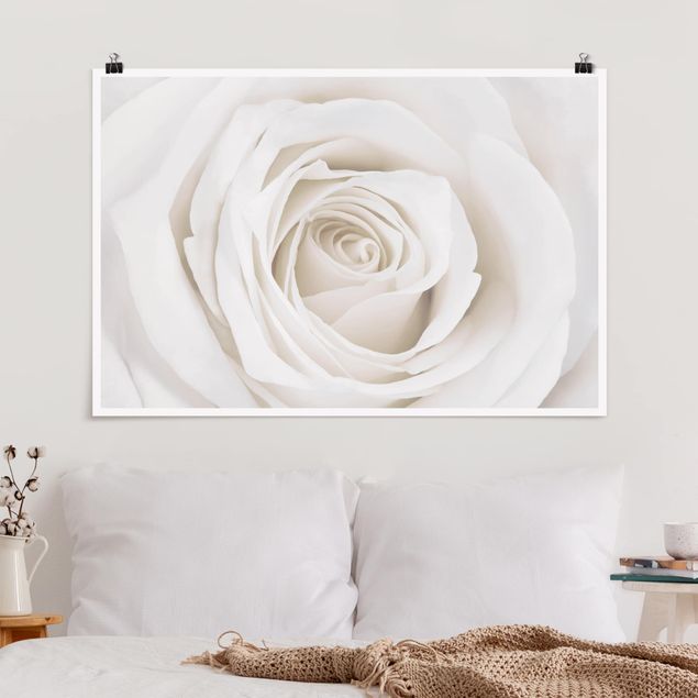 decoraçao para parede de cozinha Pretty White Rose