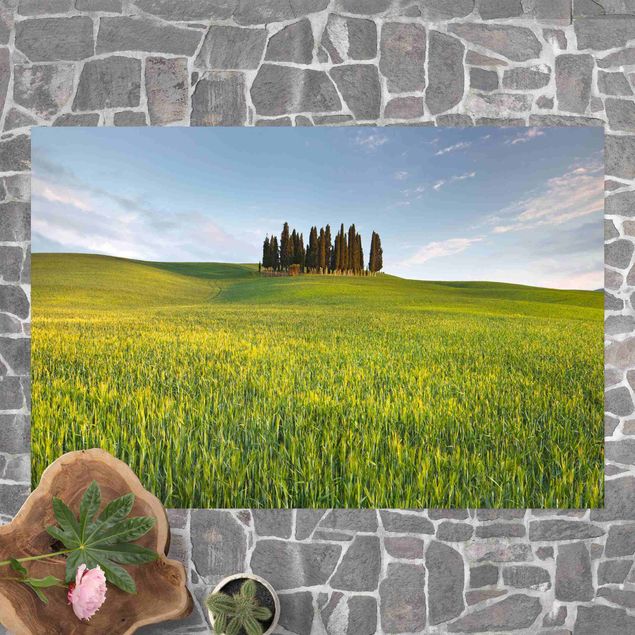 tapete varanda Green Field In Tuscany