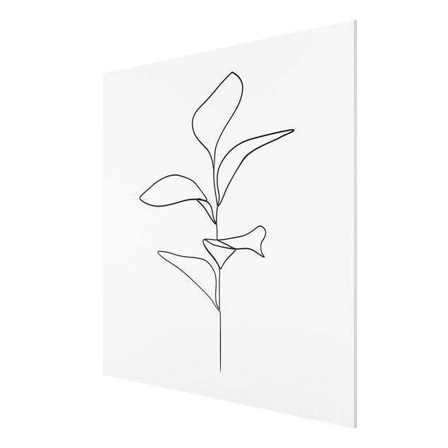 Quadros florais Line Art Plant Leaves Black And White