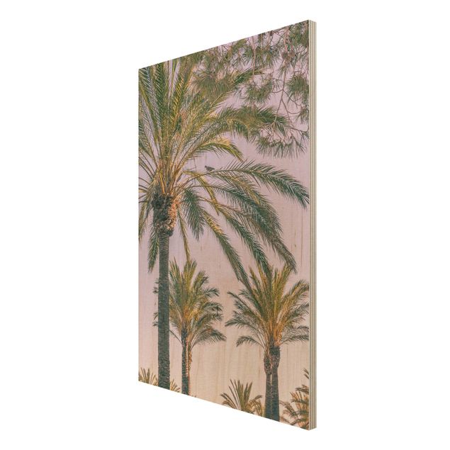 Quadros em madeira paisagens Palm Trees At Sunset