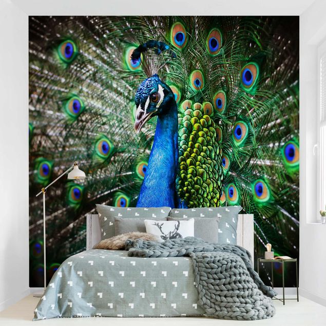 Papel de parede pássaros Noble Peacock