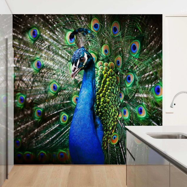 papel de parede moderno para sala Noble Peacock