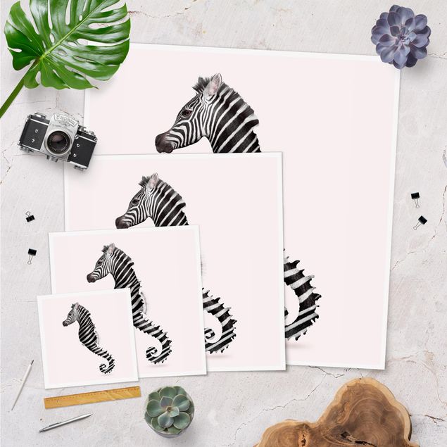 Posters animais Seahorse With Zebra Stripes