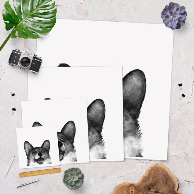 decoração quadros Illustration Dog Corgi Black And White Painting