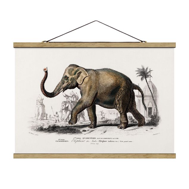 Quadros natureza Vintage Board Elephant