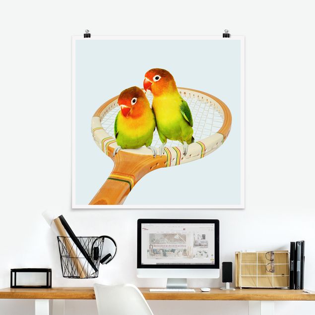 decoraçoes cozinha Tennis With Birds