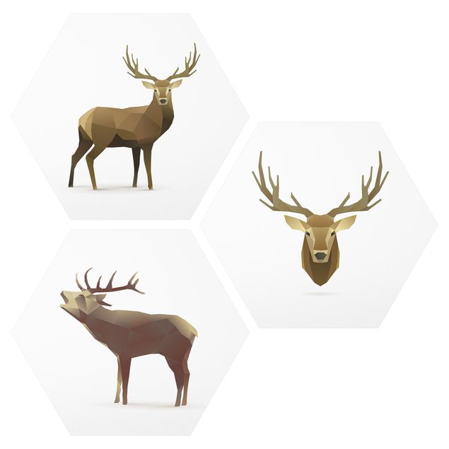 Quadros animais Poligon Deer Collection