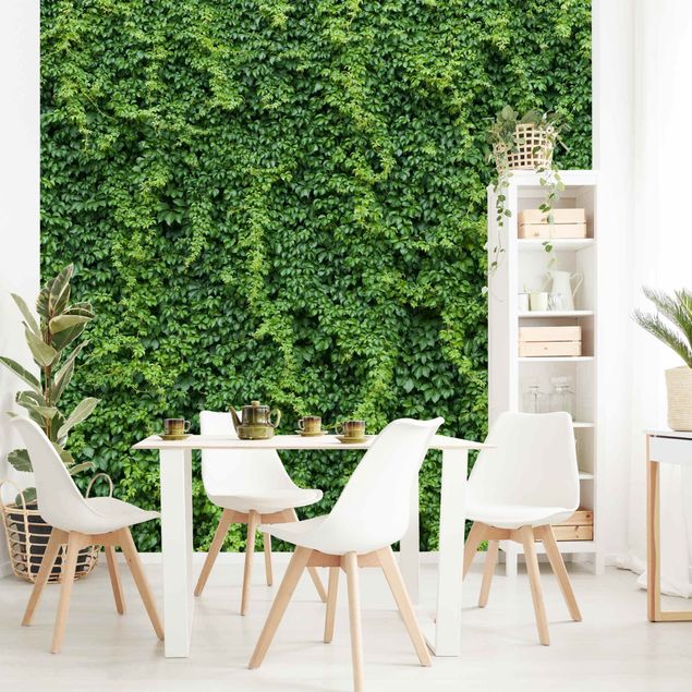 papel de parede floral Ivy