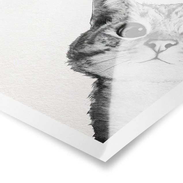 Posters animais Illustration Cat Drawing Black And White