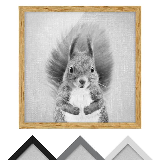 Quadros decorativos Squirrel Elisabeth Black And White