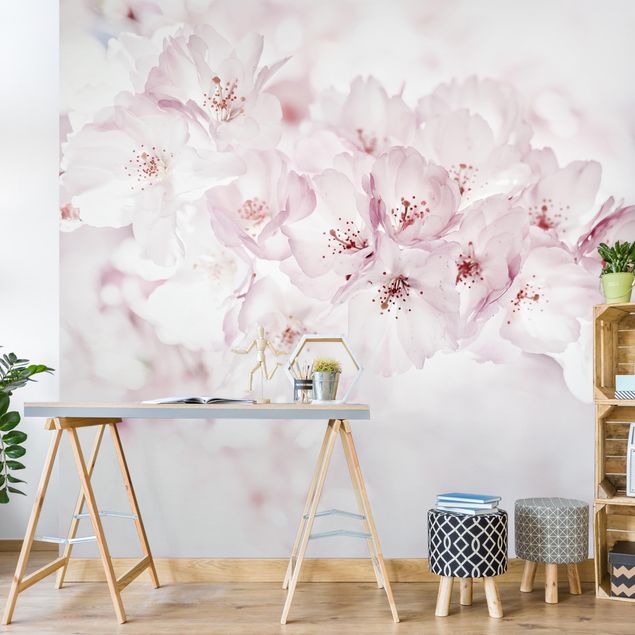 papel de parede floral A Touch Of Cherry Blossoms