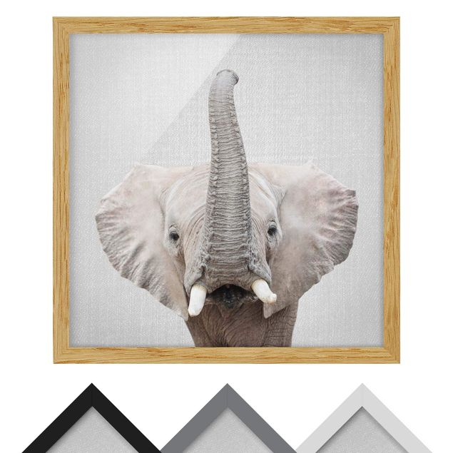 quadros preto e branco para decoração Elephant Ewald