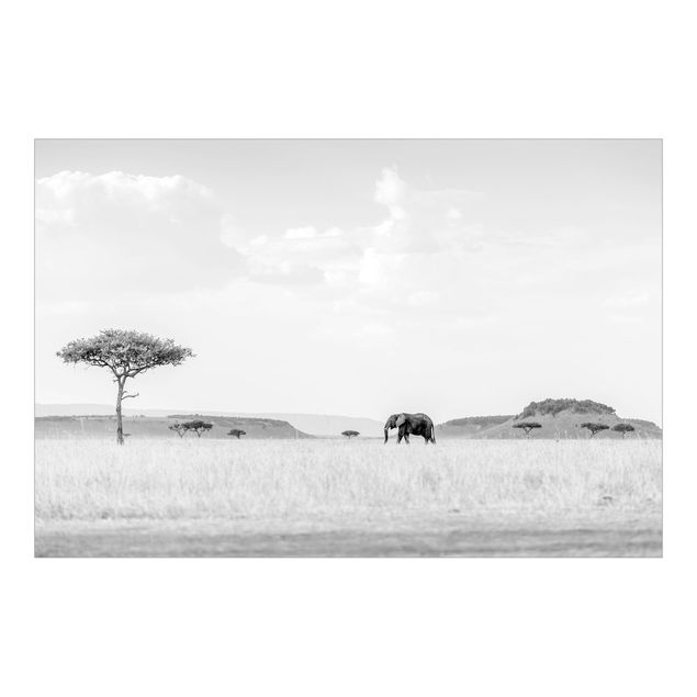 paisagens naturais papel de parede Elephant In Vast Savannah Black And White