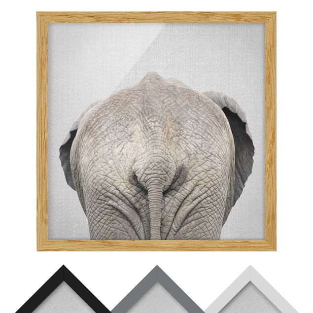 quadros preto e branco para decoração Elephant From Behind