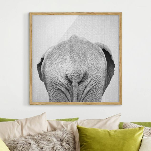 Quadros elefantes Elephant From Behind Black And White
