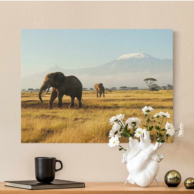 decoraçoes cozinha Elephants In Front Of Kilimanjaro In Kenya