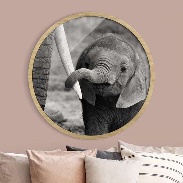 Decoração para quarto infantil Baby Elephant