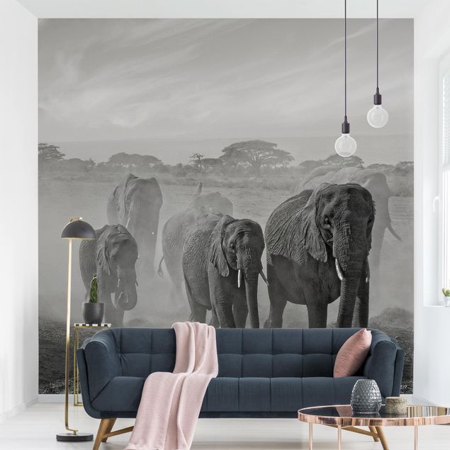 Papel de parede elefantes Herd Of Elephants