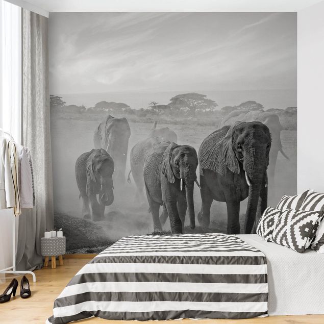 decoraçoes cozinha Herd Of Elephants