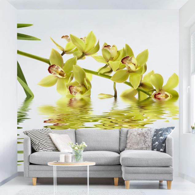 Papel de parede orquídeas Elegant Orchid Waters