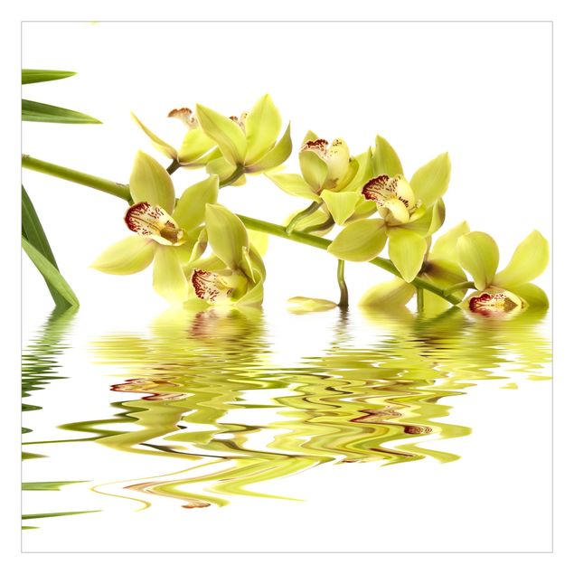 Papel de parede branco Elegant Orchid Waters