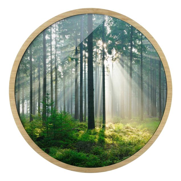 quadro da natureza Enlightened Forest