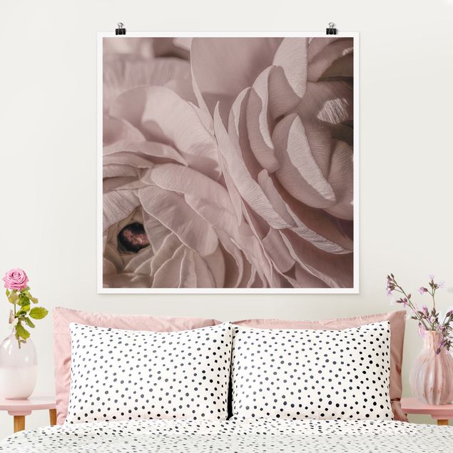 Posters flores Blushing Flower