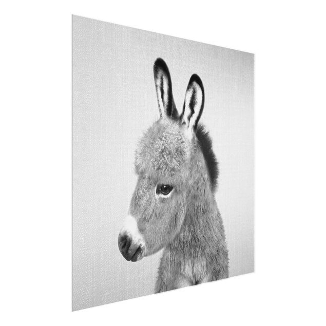 Quadros modernos Donkey Ernesto Black And White