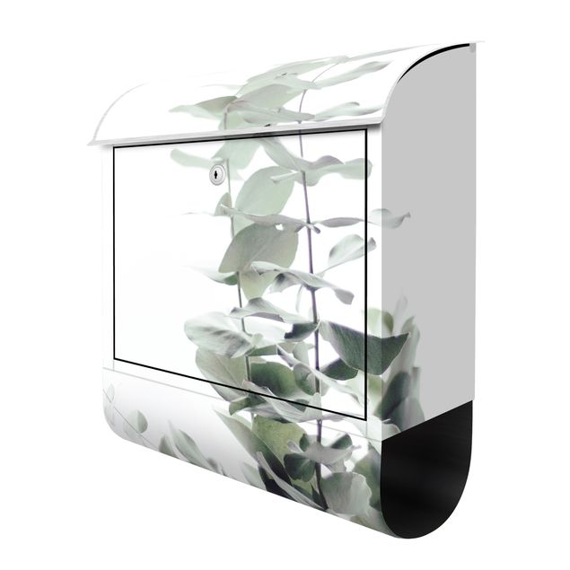 caixas de correio exteriores Eucalyptus In White Light