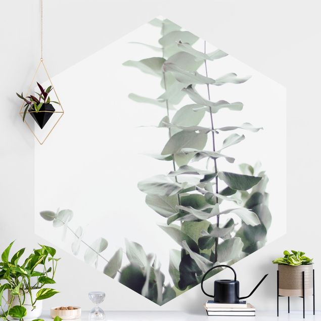 decoraçoes cozinha Eucalyptus In White Light