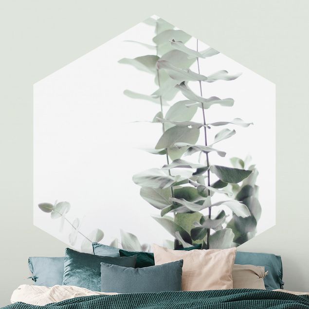 papel de parede moderno Eucalyptus In White Light