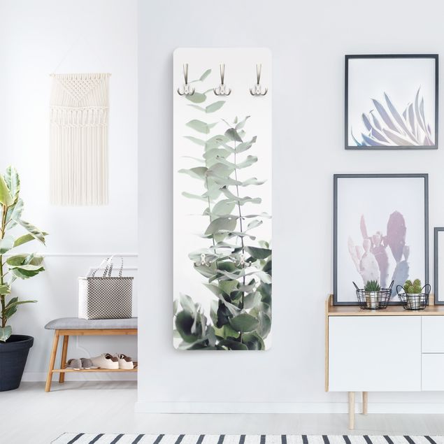 cabideiro de parede Eucalyptus In White Light