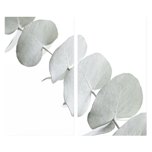 Tampa para fogão Eucalyptus Branch In White Light