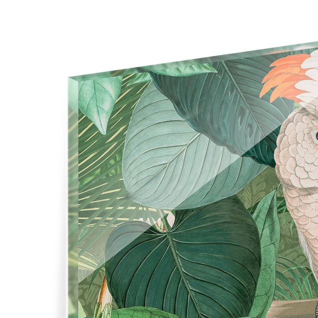 Painel anti-salpicos de cozinha Vintage Collage - Cockatoo And Hummingbird
