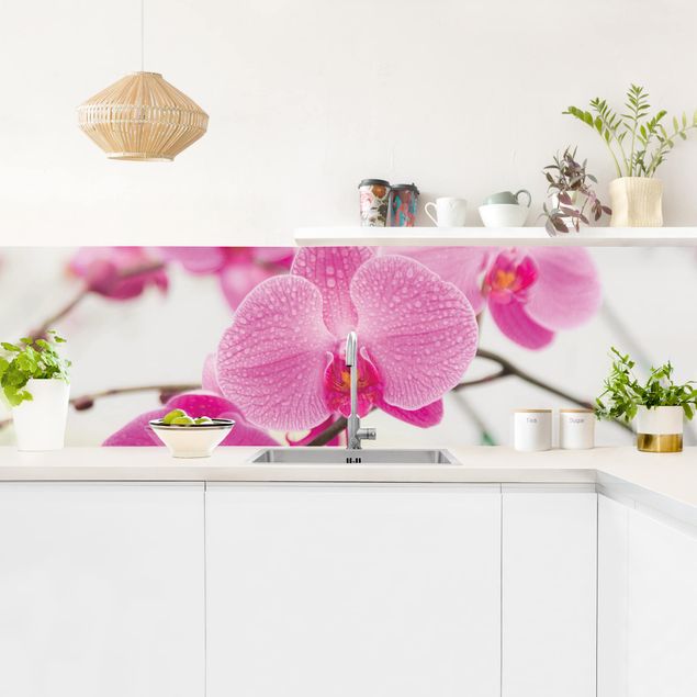 Backsplash de cozinha flores Close-Up Orchid