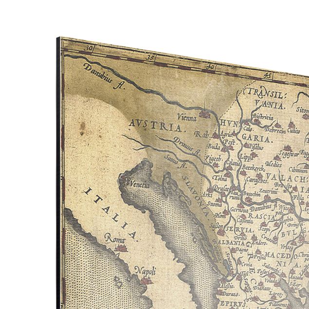 Quadros mapa mundi Vintage Collage - Palm And World Map