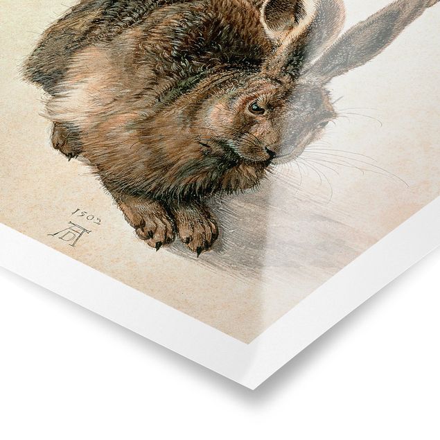 Posters animais Albrecht Dürer - Young Hare