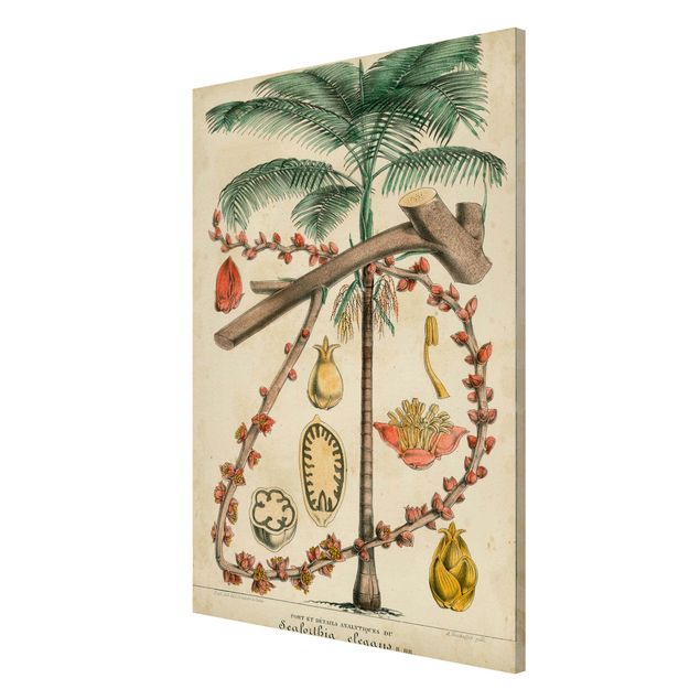 Quadros magnéticos flores Vintage Board Exotic Palms II