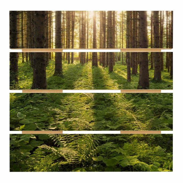 quadros para parede Sun Rays In Green Forest