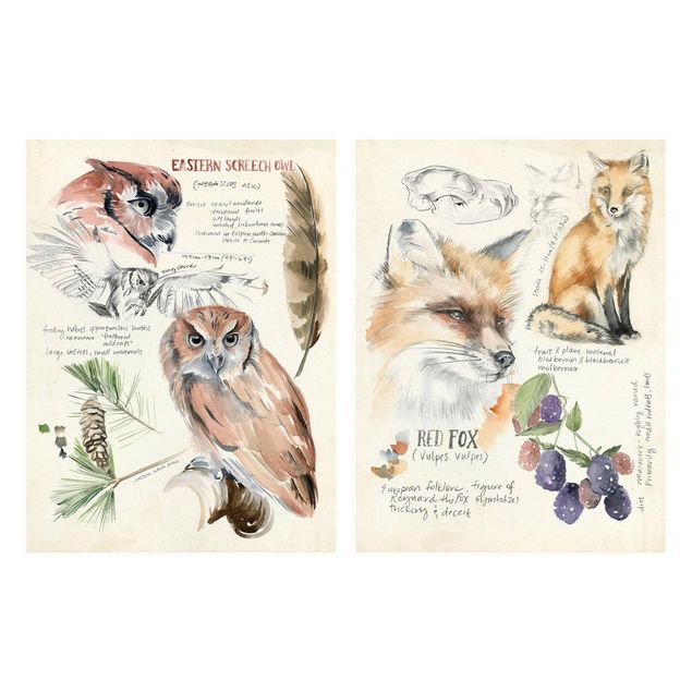 quadros para parede Wilderness Journal Owl And Fox Set I