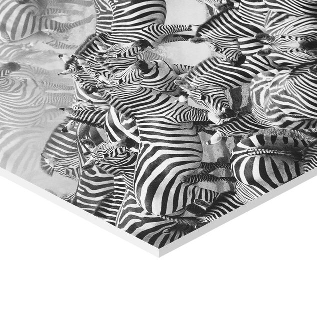 decoração quadros Zebra herd II