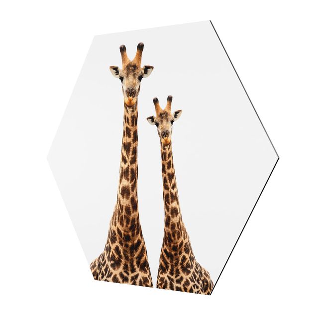 Quadros hexagonais Portait Of Two Giraffes