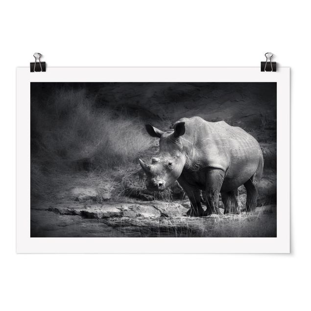 Quadros África Lonesome Rhinoceros